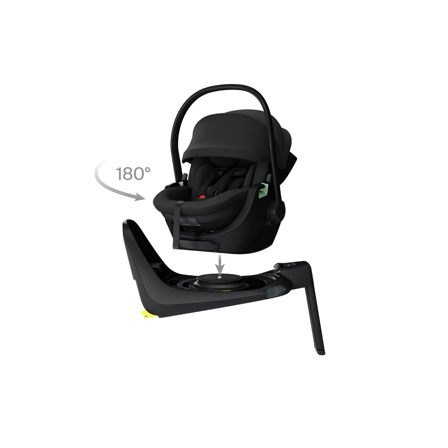 Thule Maple + Alfie