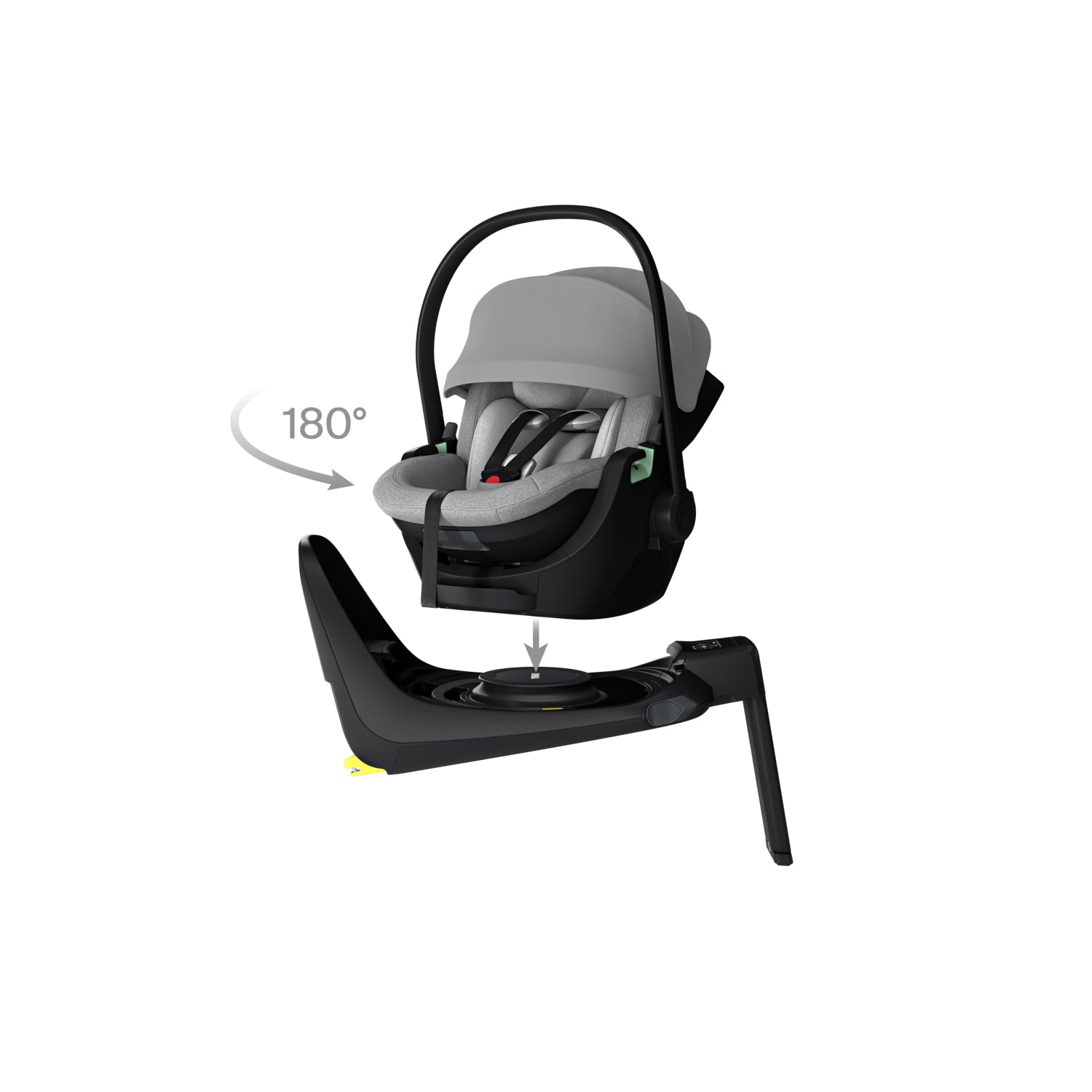 Thule Maple + Alfie
